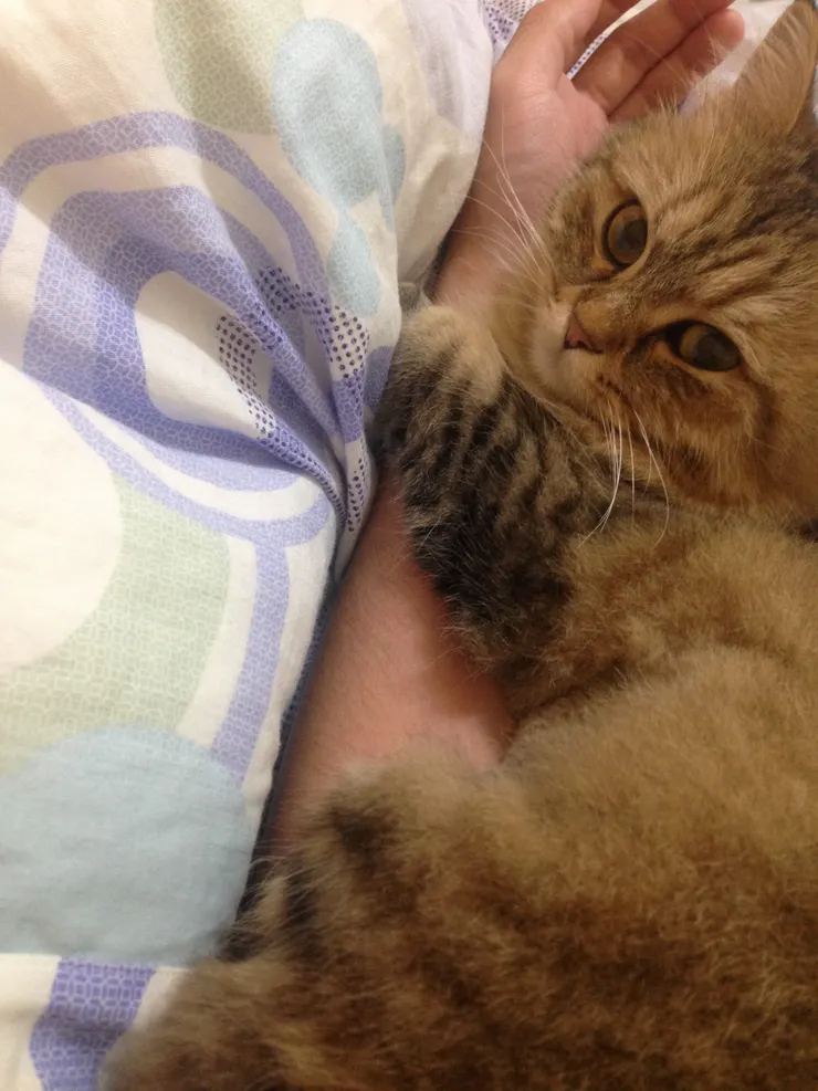 拍攝於2017/04/13晚上10:01