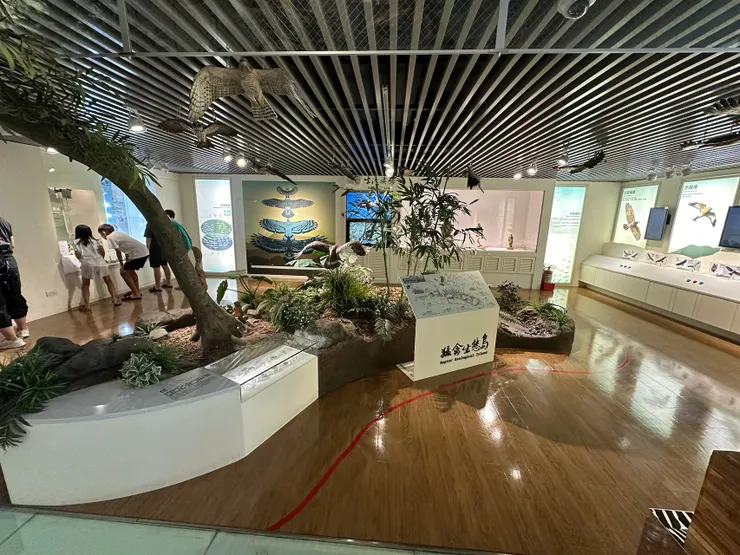 猛禽博物館大廳