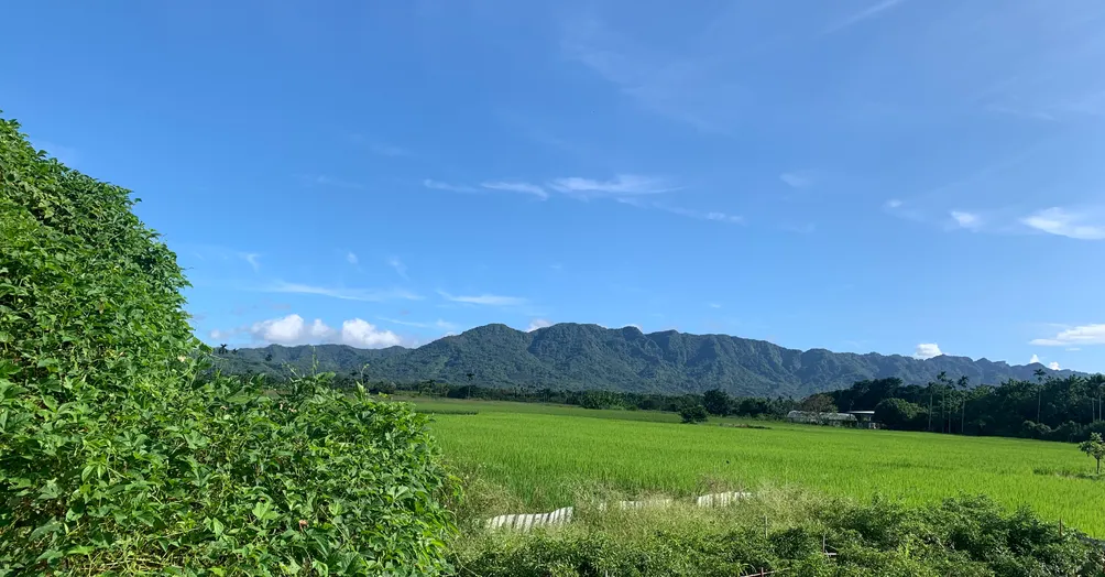 海島浪人的沙龍