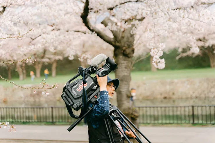 記者忙著紀錄櫻花
