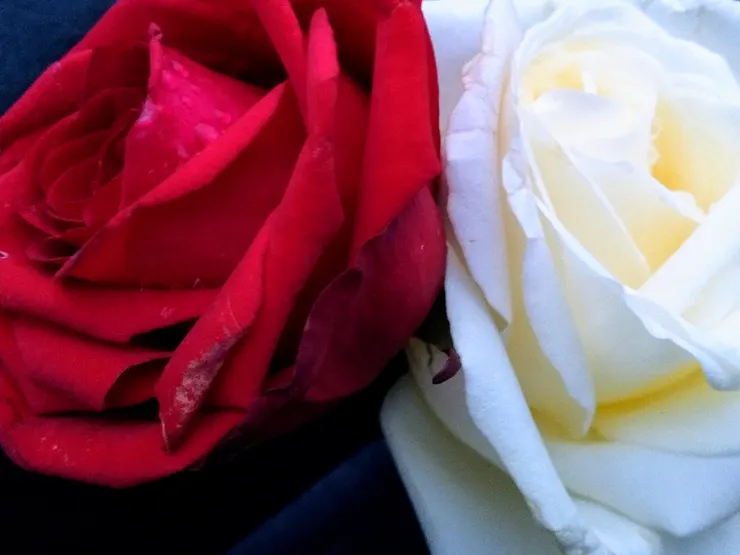 吃瓜，吃瓜，理智些；哀矜勿喜。