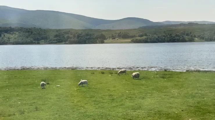 沿途蘇格蘭高地風光