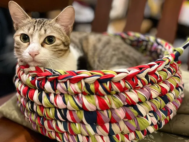 圖說：飼主手工編織的貓窩更窩心！貪貪推出滿額夾娃娃活動，最大獎送出「舊衣編織課體驗券」，親自幫寵物打造愛的溫暖小窩。（資料來源：貪貪Munchee）