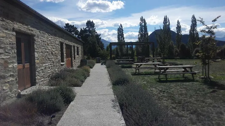 瓦納卡薰衣草農場