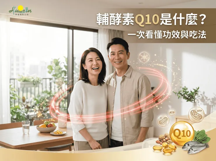 了解Q10的作用、適合族群與補充方式，做好日常生活管理
