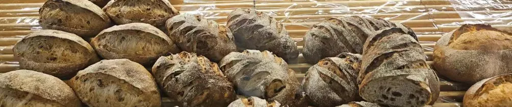 Rita生活裡的焦香味