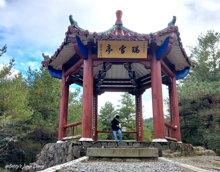 ▲台中「大雪山國家森林遊樂區」/圖片來源：Betty's Jump Diary
