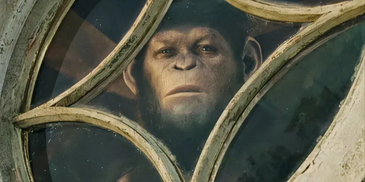 7歲以前，從窗外望去的街景是凱薩能認識到的叢林