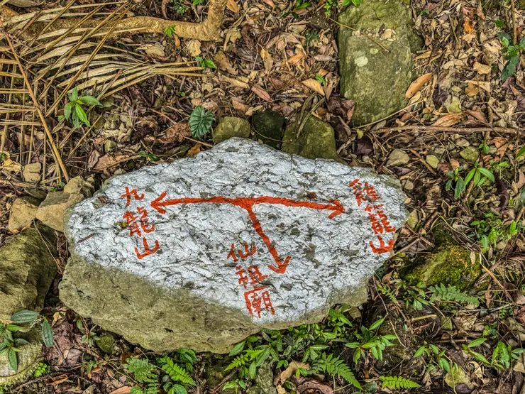 除了雞九凍O型外,可從紫雲殿另一條產業道路改成九凍雞O型。