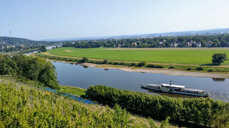 因乾枯而逐漸裸露的易北河岸