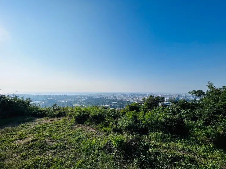 瞭望台看出去的風景