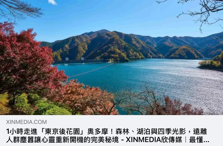 1小時走進「東京後花園」奧多摩!森林、湖泊與四季光影,遠離人群塵囂讓心靈重新開機的完美秘境