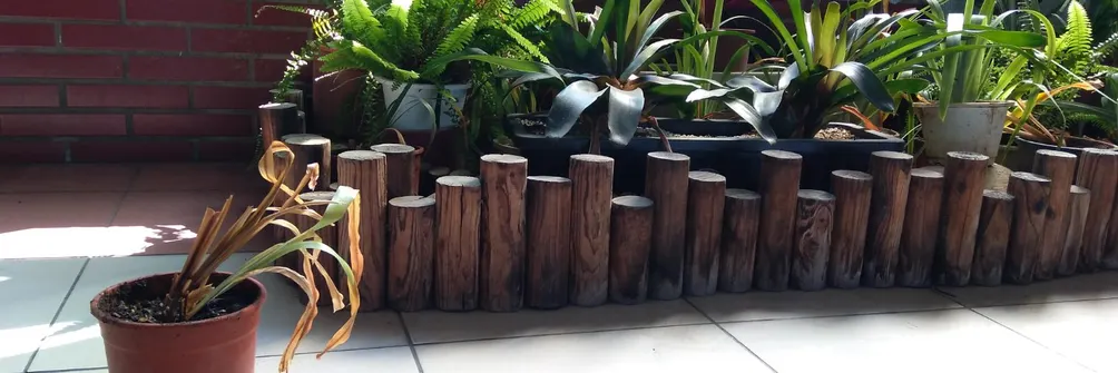 Helix Creates | Felix的創作天地