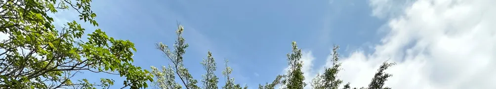 搖滾蛋黃酥的沙龍