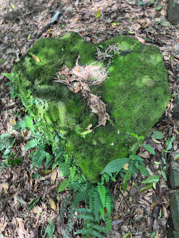 心型石塊,大自然的奇蹟