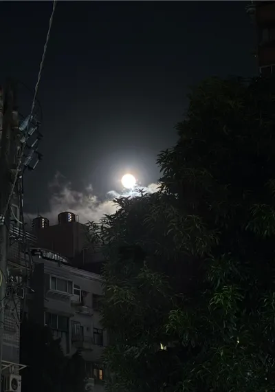 2025 Toa-piáⁿ-goe̍h