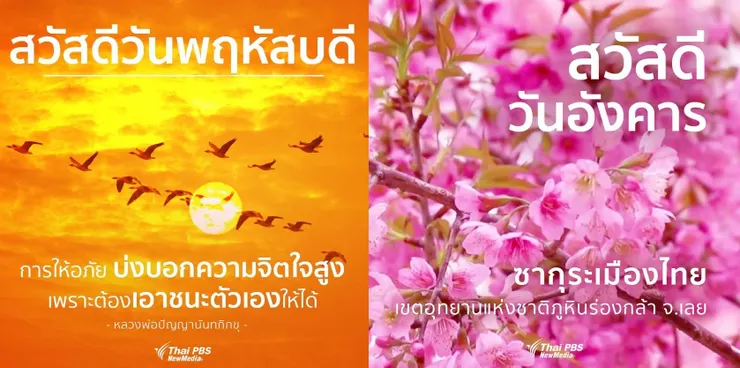 圖片來源：ThaiPBS Facebook