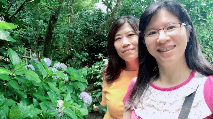 還有少少的繡球花可賞