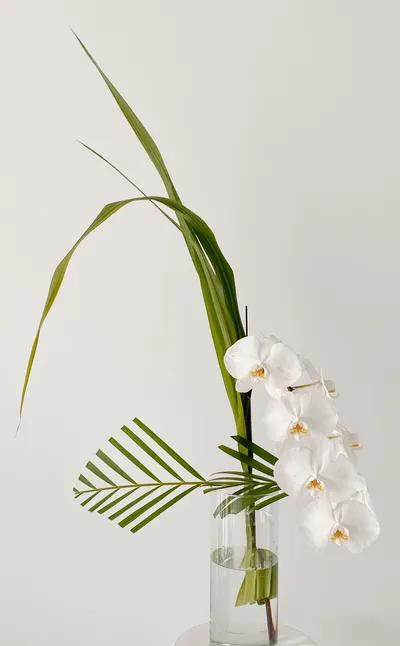 個人生活美學要求