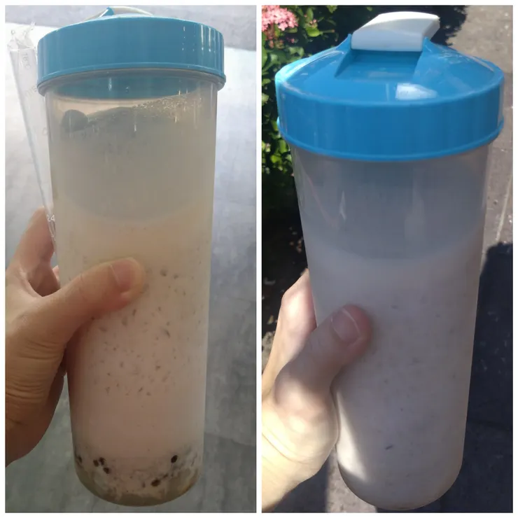 ［左：芋泥波波鮮奶］［右：芋泥鮮奶］