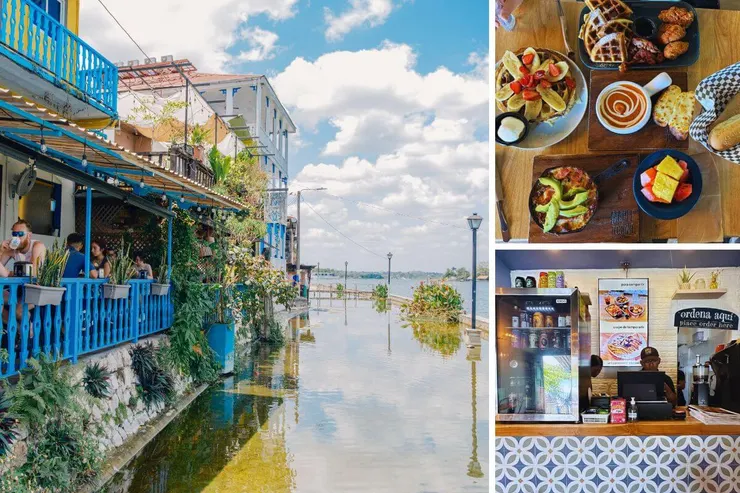 Maple&Tocino, Flores, Guatemala