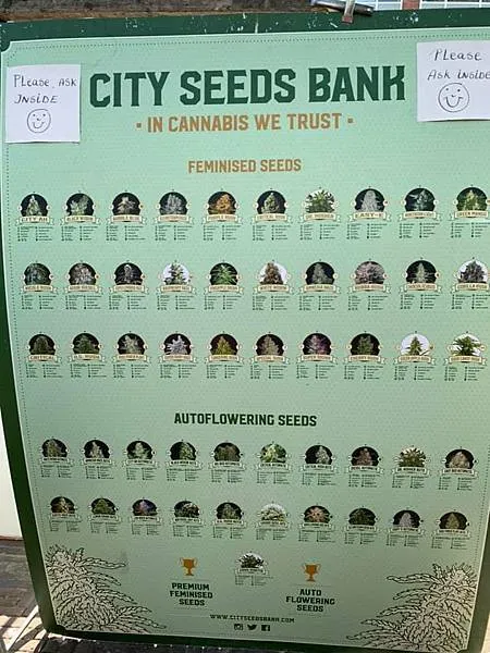 300天環遊世界之旅:第一站荷蘭(7日)