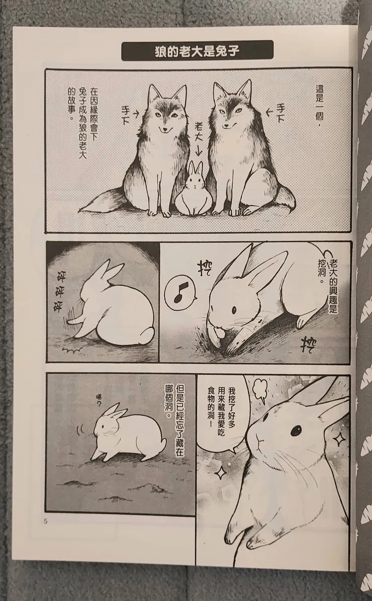 狼的老大是兔子