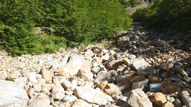 路大部分長這樣。但是大家都走好快......