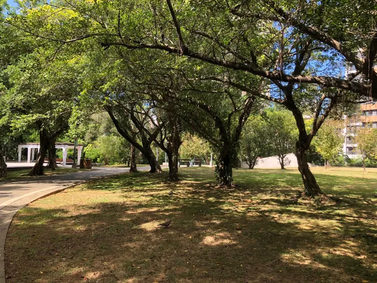 木柵公園對面原本是戰俘營，木柵公園可能是戰俘放風的地方