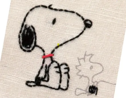 說明本上的圖樣