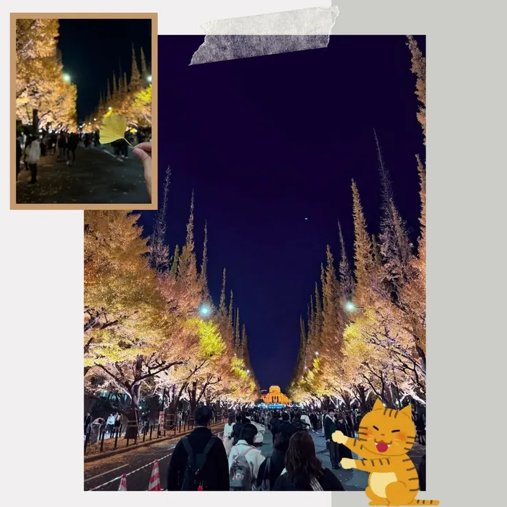 明治神宮外苑的樹蔭大道