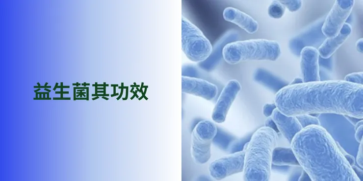 益生菌好處與其功效