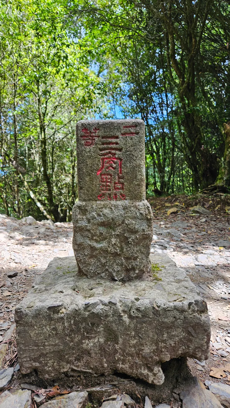 抵達三角點了!不過這邊被樹林遮蔽了,需要登上瞭望台才有風景喔!