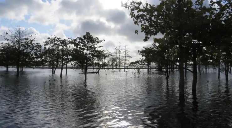 Lake Ira Lalaro