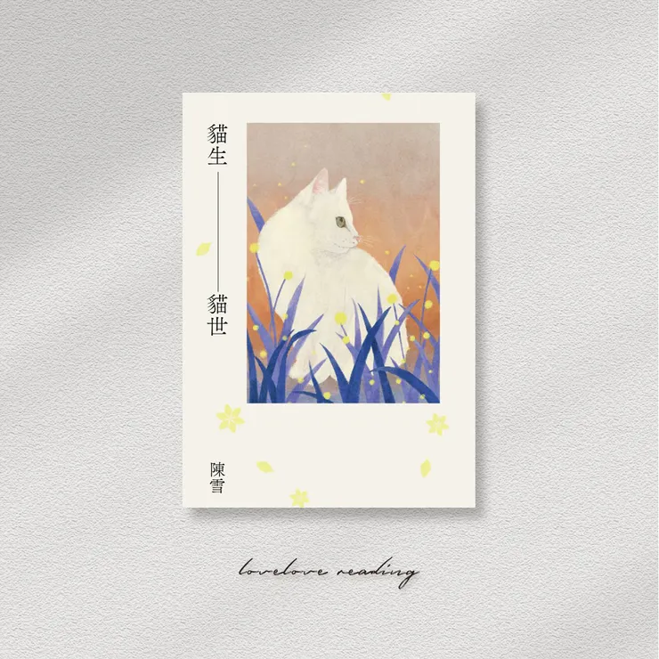 作者｜陳雪 　封面｜朱疋　出版社｜木馬文化 