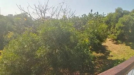 [台北旅遊]凱達格蘭族北投社到北投區三層崎公園花海、大冠鷲著