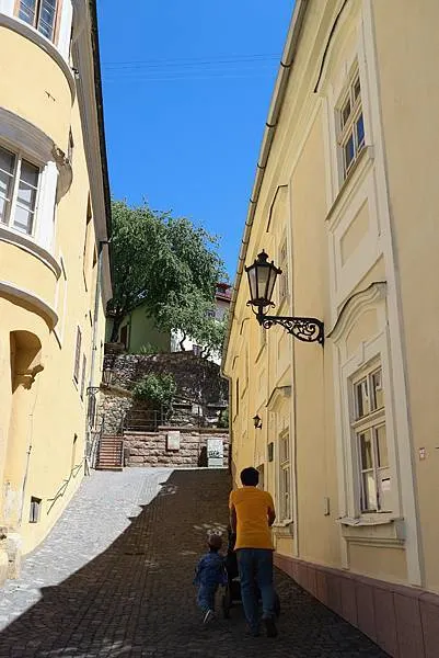 在市區內就可以爬個小山坡&nbsp;