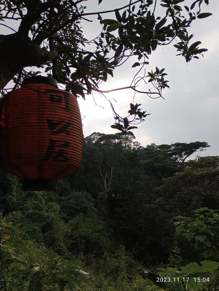 可以居邊，合歡聳天舞，相片皆自拍攝