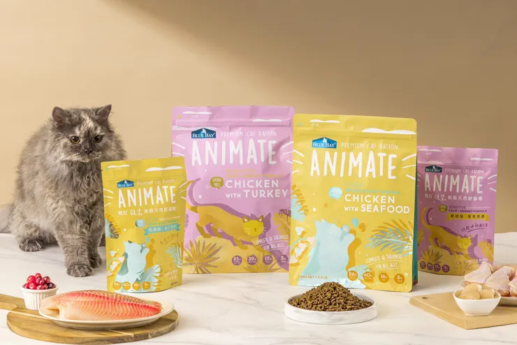 貓經濟浪潮來襲!現代飼主消費除了講究精準營養,挑選寵食更傾向採用在地食材的品牌。(資料來源:倍力寵物健康食品)