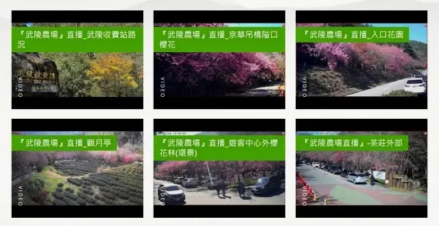 武陵農場即時影像