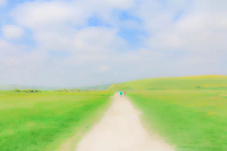 七姊妹崖旁邊的小徑一景