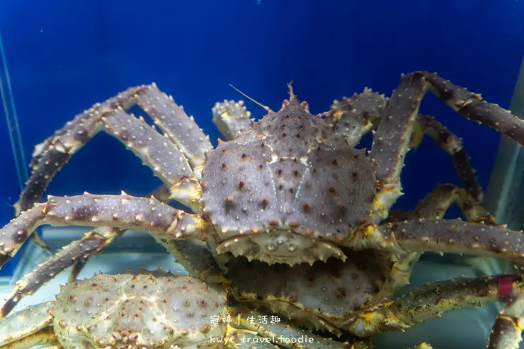 [高雄左營火鍋餐廳]銅花精緻涮涮鍋，火鍋界的LV！整隻龍蝦與A5和牛的奢華約會，專人桌邊服務，左營約會餐廳推薦，附最新菜單