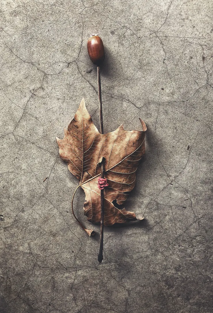 Photo by&nbsp;Rohan Reddy&nbsp;on&nbsp;Unsplash