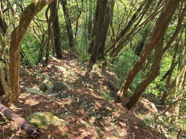 隨後陡下