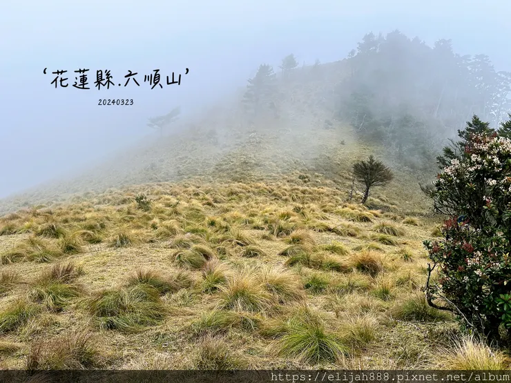 【丹大林道.六順山.七彩湖】六順山.海拔3009公尺/波波草