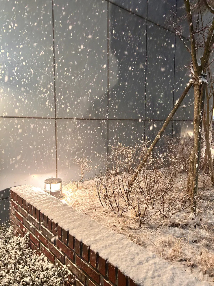 一月下了兩場雪 ❤️