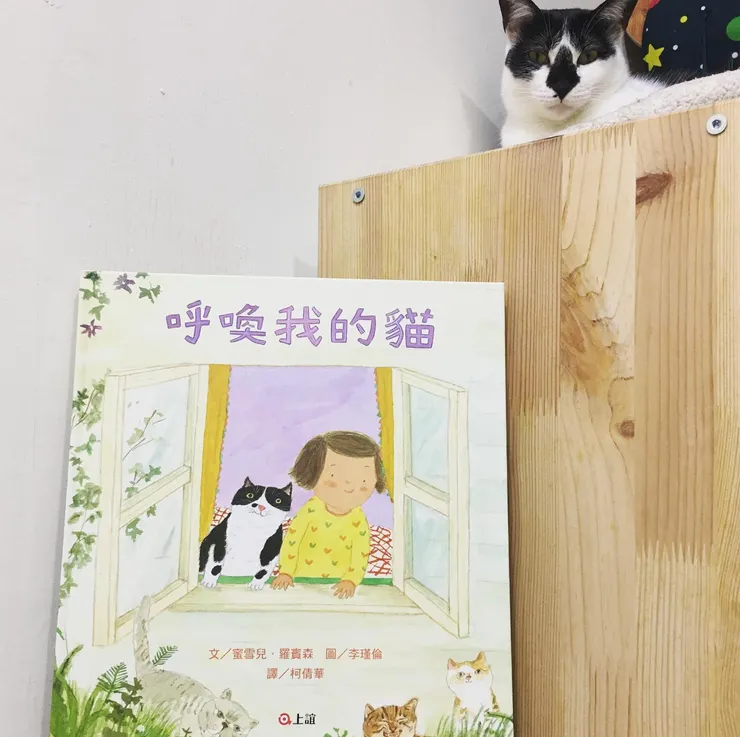 《呼喚我的貓》