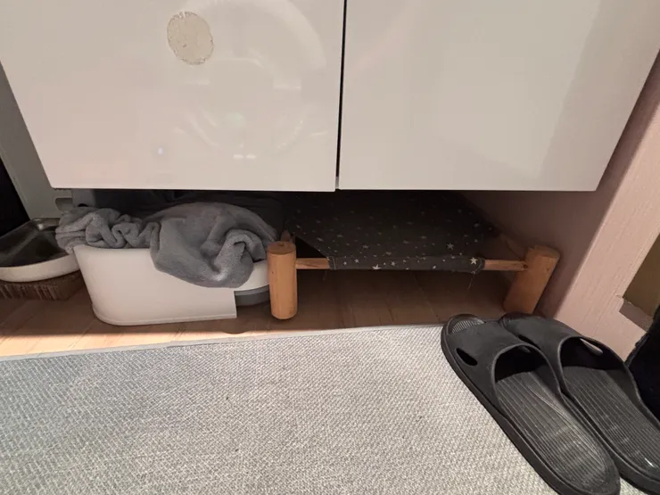 貓咪的秘密小空間