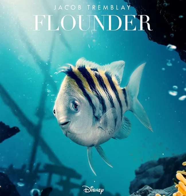 在迪士尼電影《小美人魚真人版》中，小比目魚Flounder很明顯是一條熱帶魚。（圖片來源：Disney ）