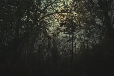 作者:Artem Zhukov,PXELS:https://www.pexels.com/zh-tw/photo/14354486/